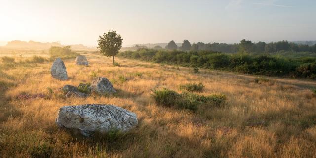 Les landes de Cojoux à Saint-Just