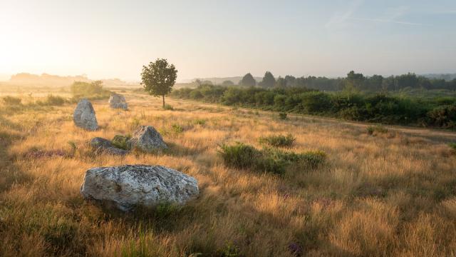 Les landes de Cojoux à Saint-Just