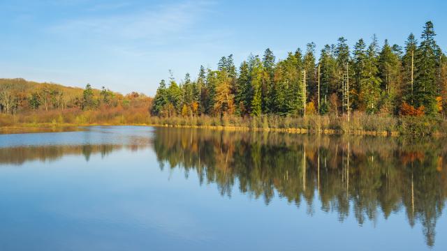 Etang des Forges, Brocéliande