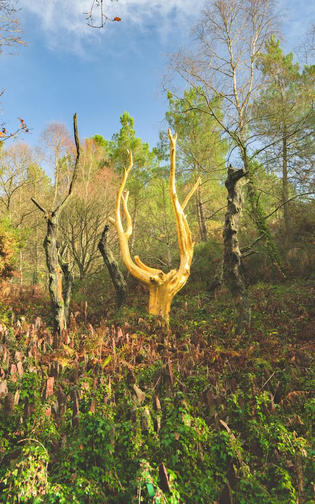 L'Arbre d'Or à Paimpont, Brocéliande