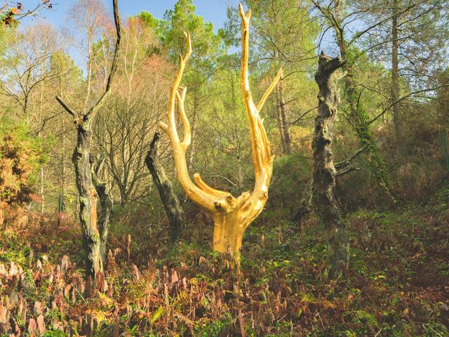 L'Arbre d'Or à Paimpont, Brocéliande