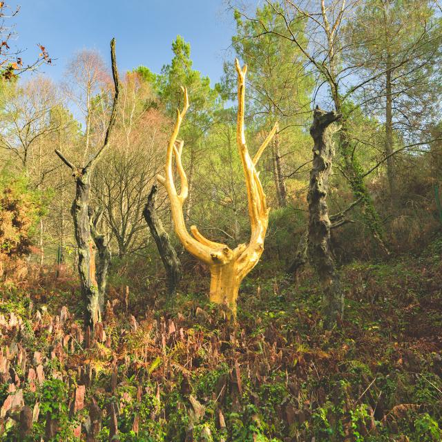 L'Arbre d'Or à Paimpont, Brocéliande