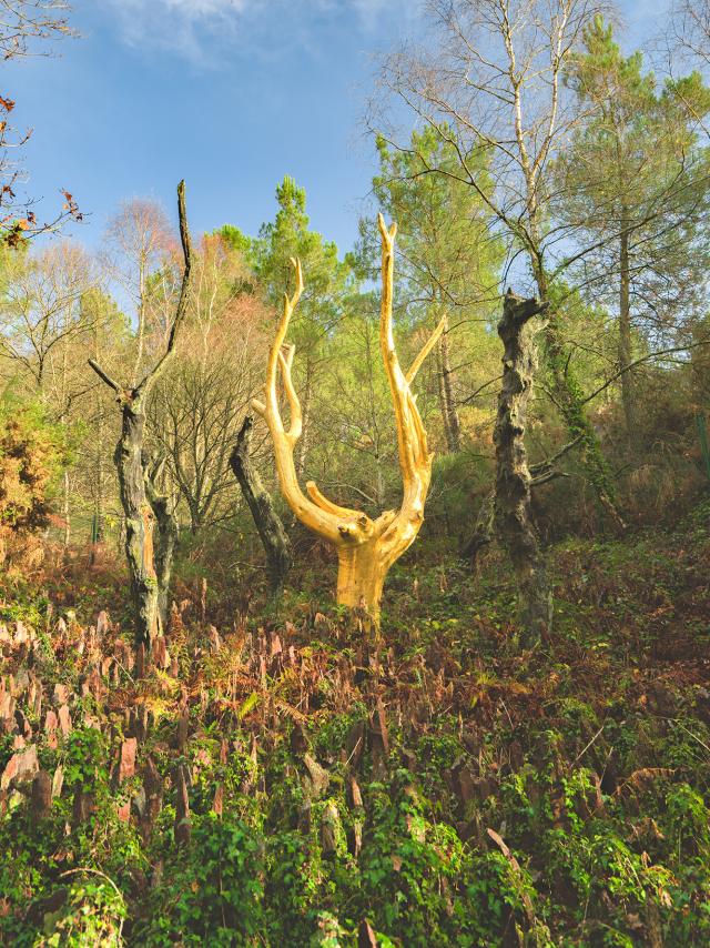 L'Arbre d'Or à Paimpont, Brocéliande