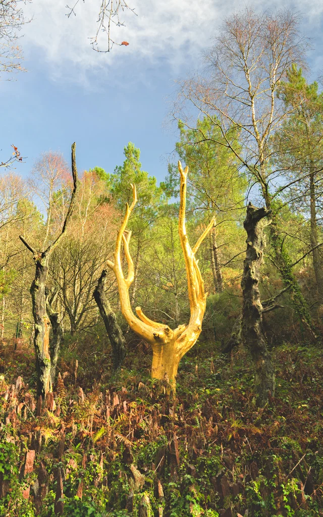 L'Arbre d'Or, Paimpont, Brocéliande