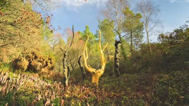 L'Arbre d'Or, Paimpont, Brocéliande