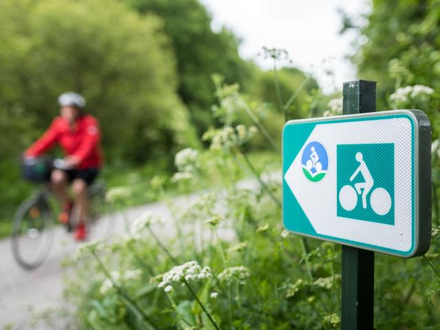 Vélo sur la Voie verte