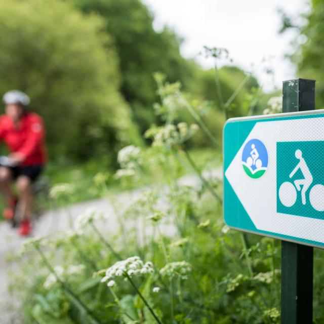 Vélo sur la Voie verte