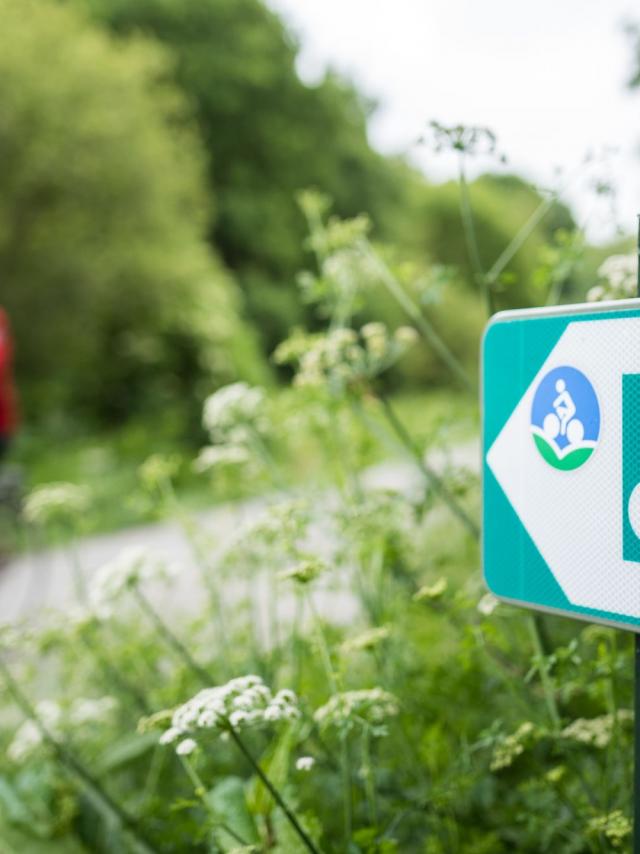 Vélo sur la Voie verte