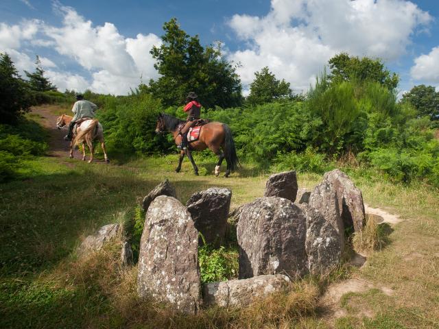 Hôtié de Viviane (ou Tombeau des Druides), Brocéliande