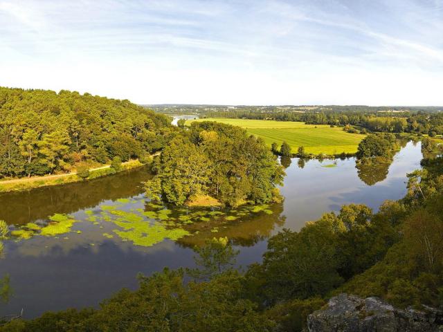 L'Ile-aux-Pies, site naturel à proximité de Redon