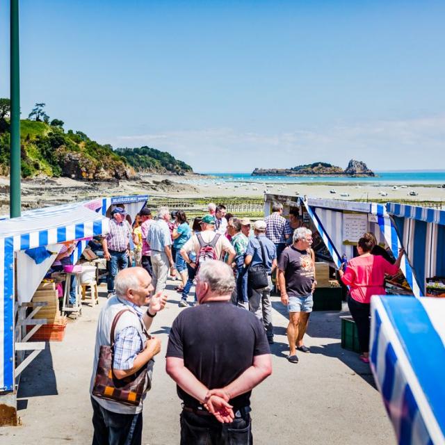 Marché aux huîtres à Cancale