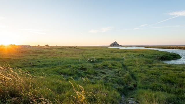 Prés dans la baie du Mont-Saint-Michel