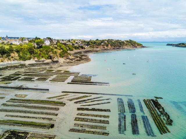 Parcs à huîtres à Cancale