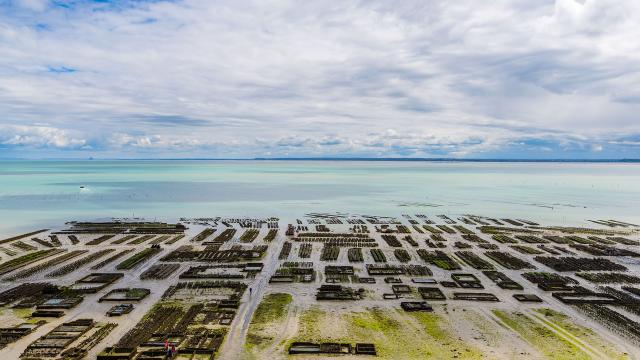 Parcs à huîtres à Cancale et ses tables ostréicoles