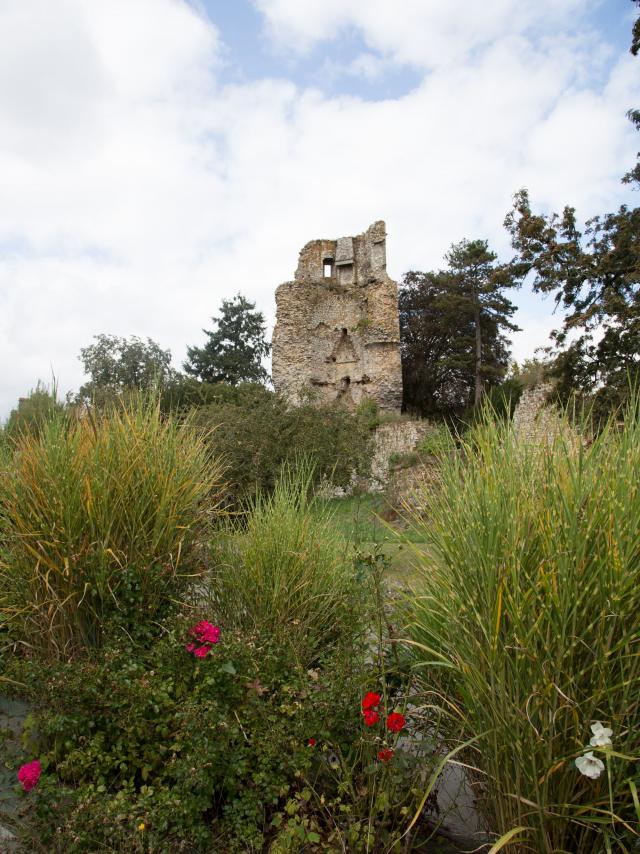 Saint-Aubin-du-Cormier - le château