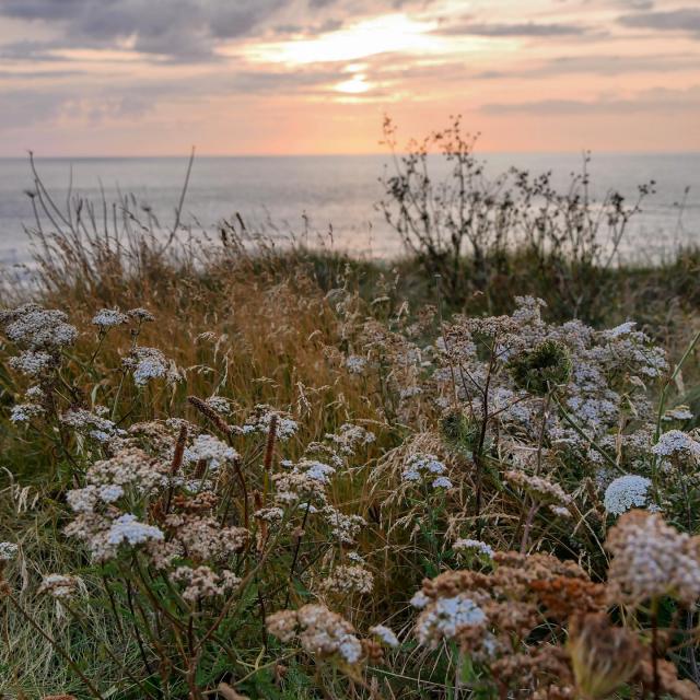 Instagram #cancale