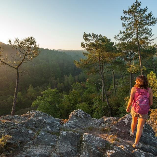 Balade au-dessus de la vallée