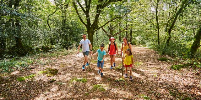 Balade familiale en forêt