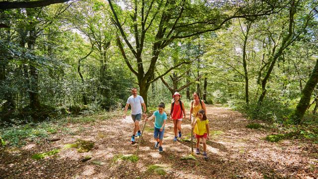 Balade familiale en forêt