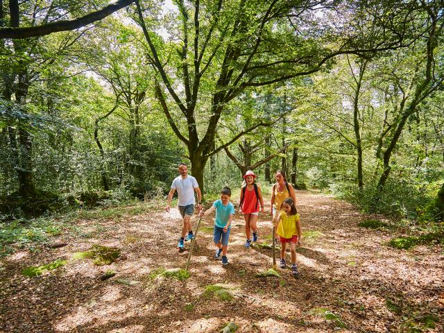 Balade familiale en forêt