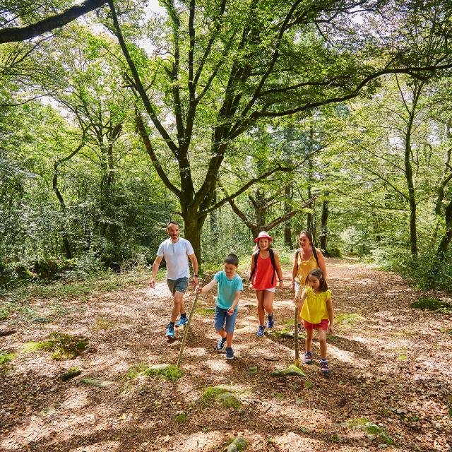 Balade familiale en forêt