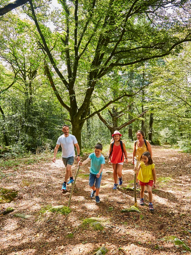 Balade familiale en forêt