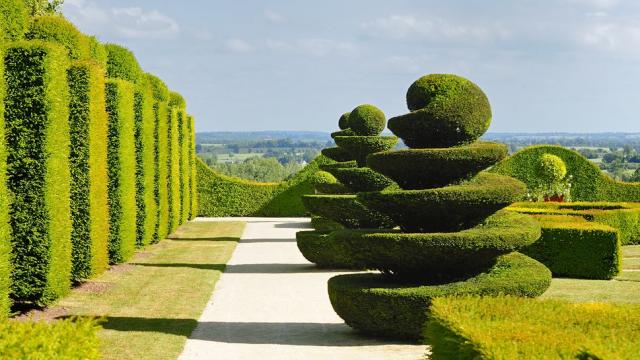 Topiaires des jardins du château de La Ballue à Bazouges-la-Pérouse