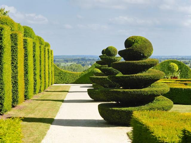 Topiaires des jardins du château de La Ballue à Bazouges-la-Pérouse