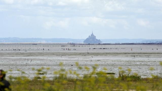 Pêche à pied à Saint-Benoit-des-Ondes