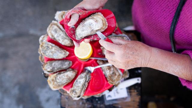 Dégustation d'huîtres de Cancale