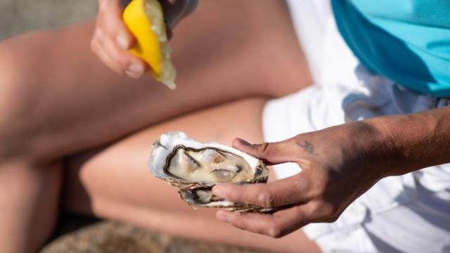 Dégustation d’huîtres bretonnes à Cancale