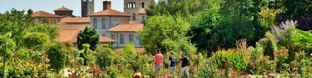 Découverte de la roseraie du parc du Thabor à Rennes