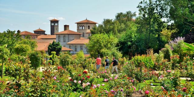 Découverte de la roseraie du parc du Thabor à Rennes