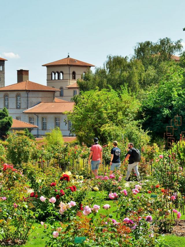 Découverte de la roseraie du parc du Thabor à Rennes