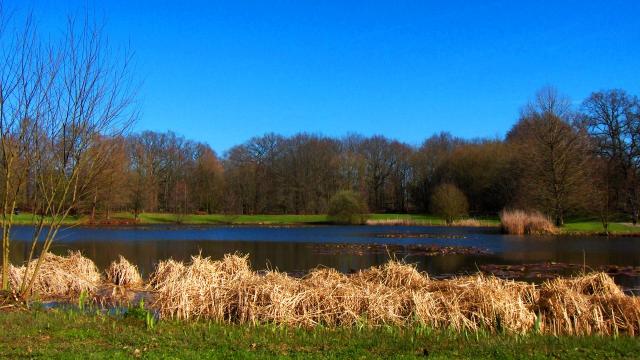 Parc des Gayeulles à Rennes