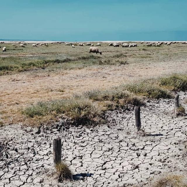 Instagram #doldebretagne