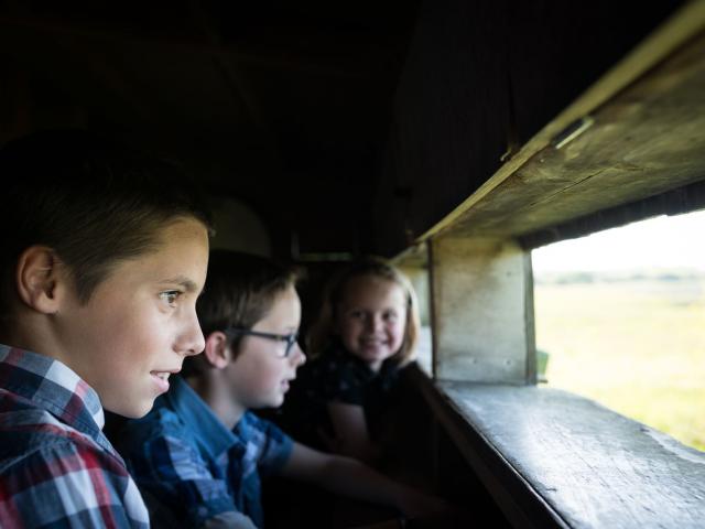 Observation de la faune au Domaine de Careil à Iffendic