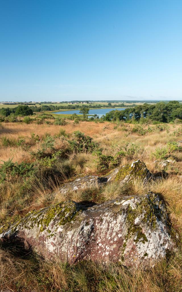 Domaine de Careil à Iffendic