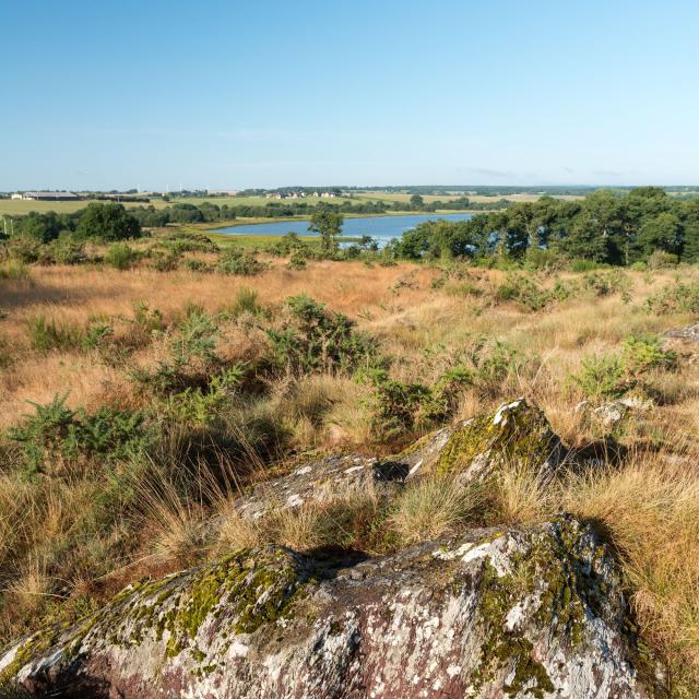 Domaine de Careil à Iffendic