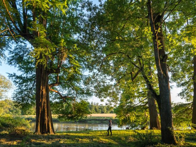 Site naturel de La Courbe, méandre de la Vilaine, à Bourg-des-Comptes