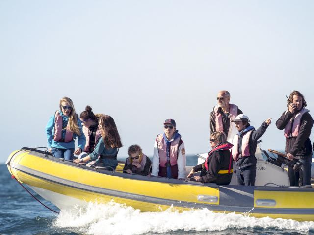 Balade en mer à Cancale avec l'association Al Lark