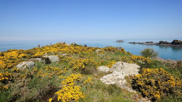 La Pointe du Grouin à Cancale