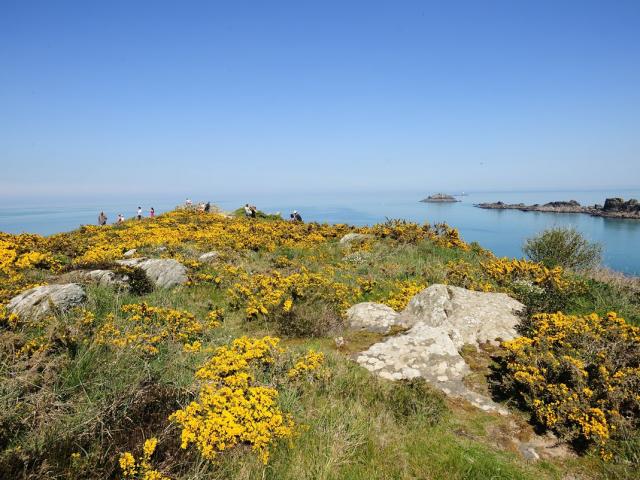 La Pointe du Grouin à Cancale