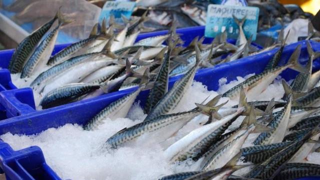 Étal de poissons sur le marché de Dinard