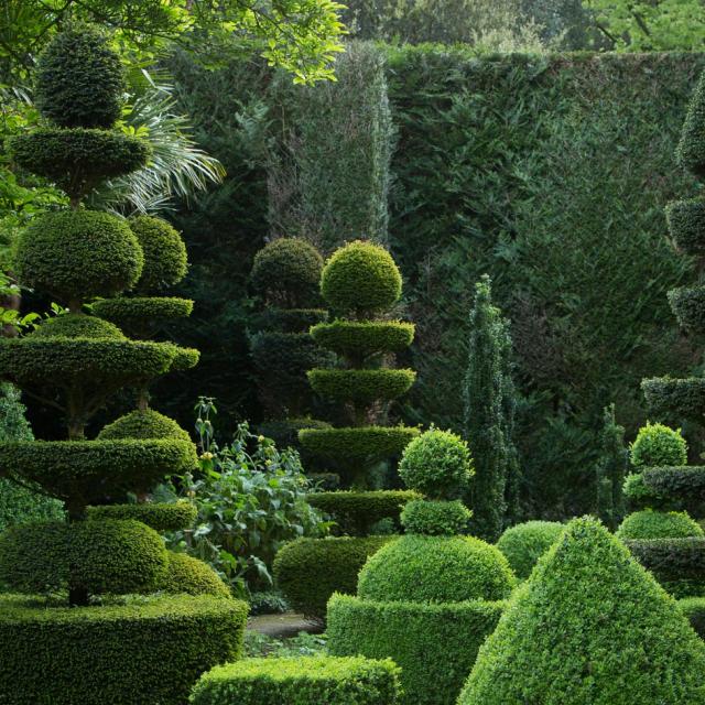 Art topiaire dans les Jardins de la Ballue à Bazouges-la-Pérouse