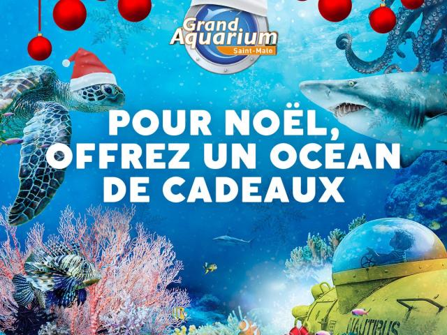 Offre de Noël du Grand aquarium de Saint-Malo