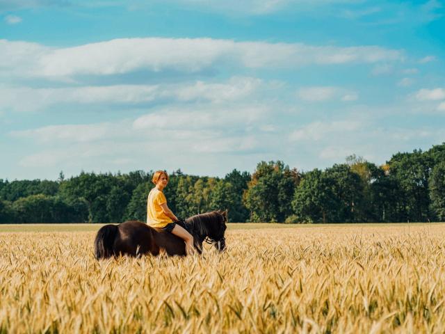 Balade à cheval à la Ferme équestre du Pavail à Châteaugiron