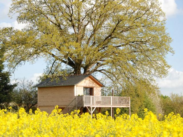 Cabane perchée dans un arbre à la Bourousais en Ille-et-Vilaine