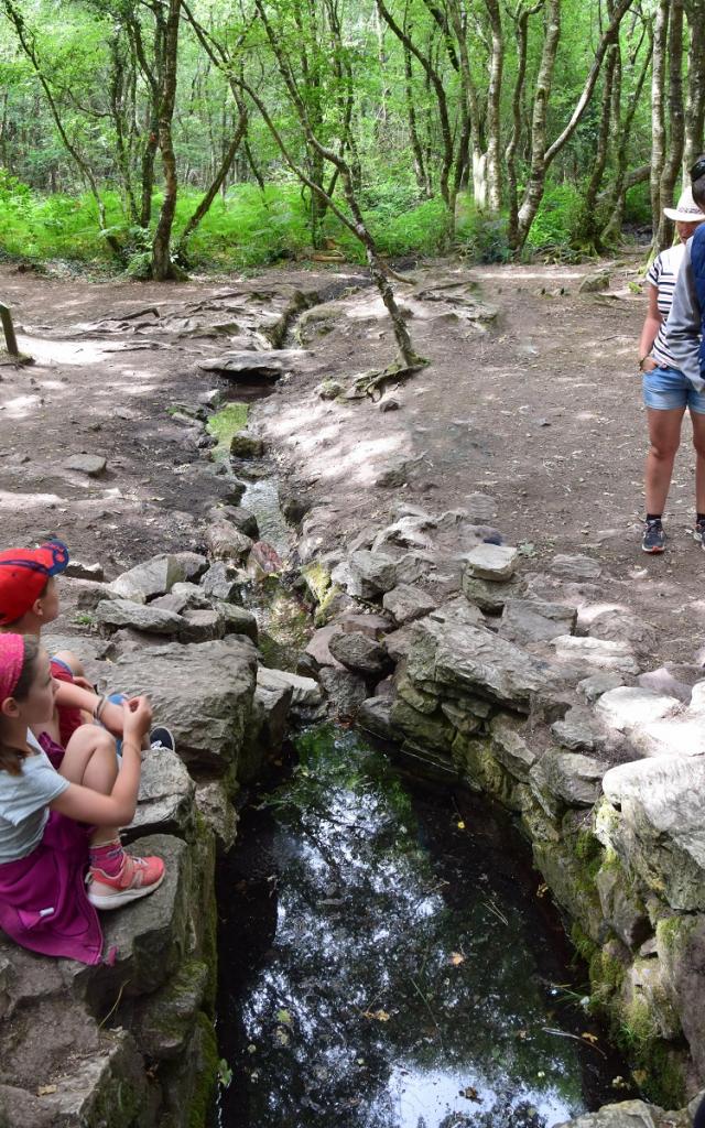 Fontaine de Barenton à Brocéliande