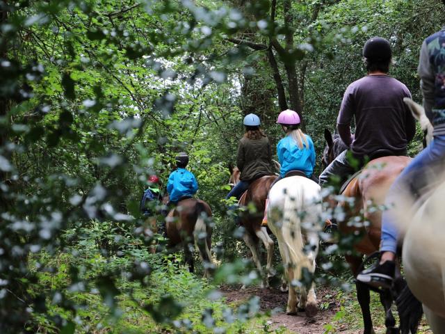 Balade à cheval autour du lac de Trémelin